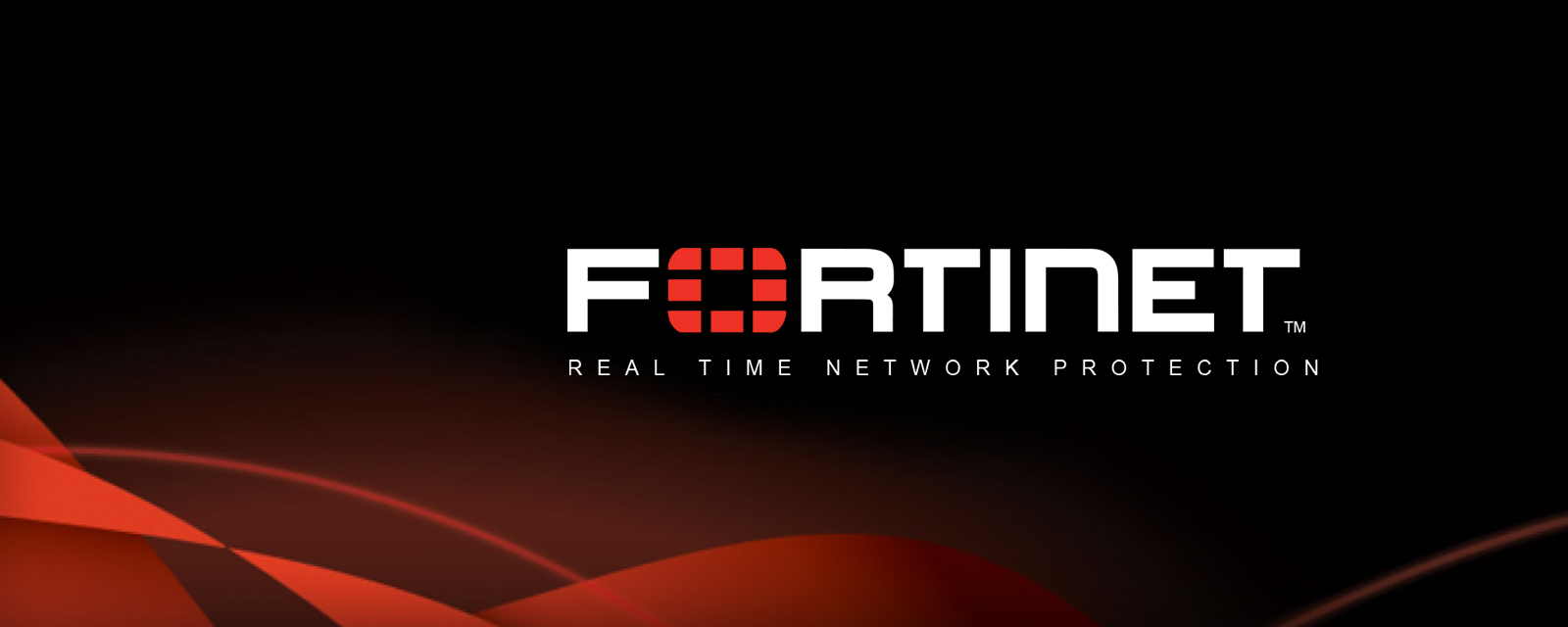 hero banner for Fortinet